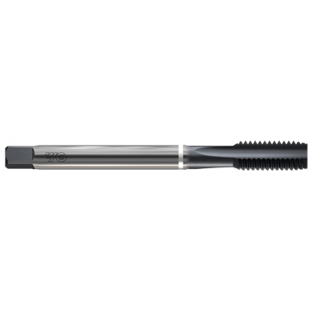 DIN371/DIN374 STRAIGHT FLUTE NITRIDE_STEAM HOMO