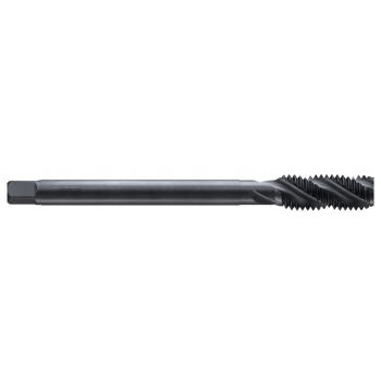 LONG SHANK SPIRAL FLUTE STEAM HOMO